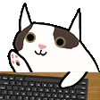 Content Creator